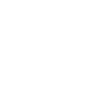 Portfolio Portfolio
